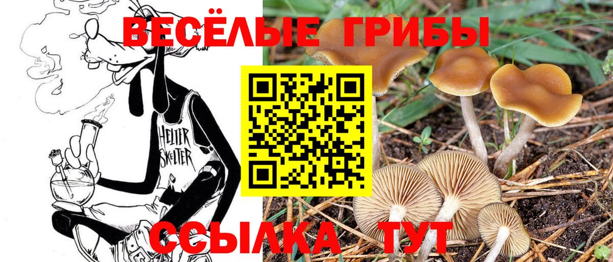Галлюциногенные грибы MAGIC MUSHROOMS  Вход с VPN  Псилоцибиновые грибы MAGIC MUSHROOMS  Краснокамск 