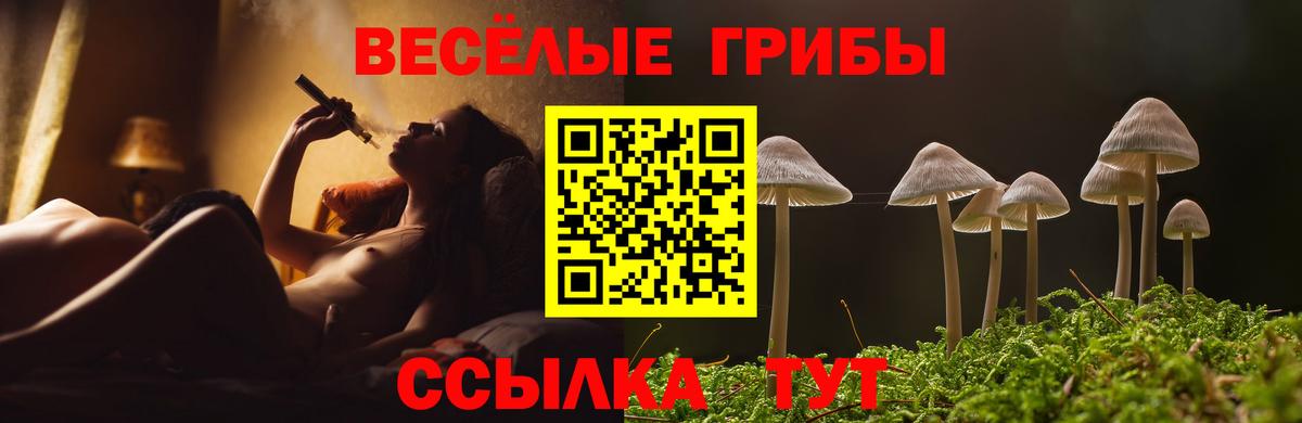 Галлюциногенные грибы мухоморы Краснокамск